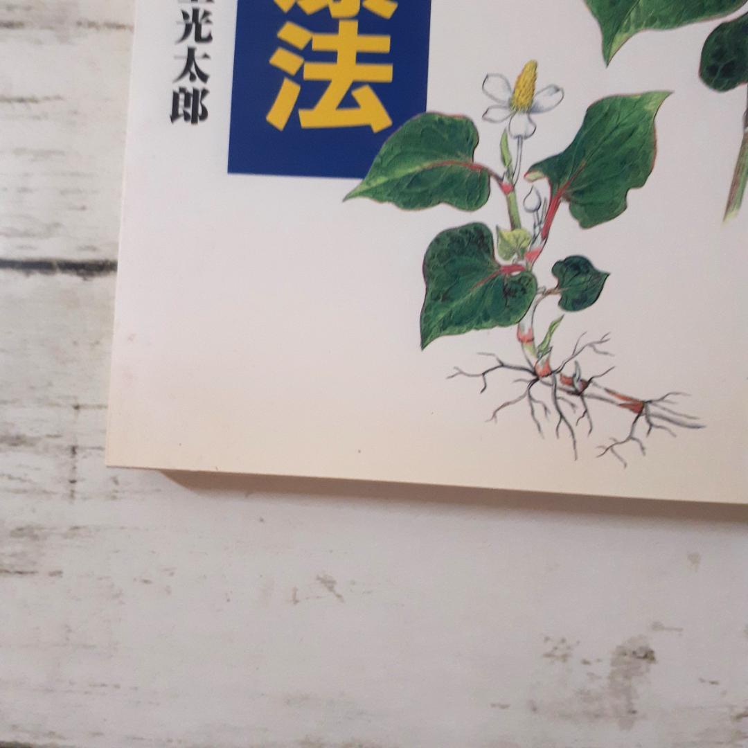 よく効くドクダミ療法　村上光太郎　家の光協会