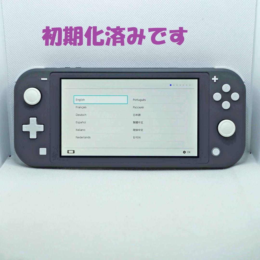 【スティック交換メンテ済】Nintendo switch lite グレー＋AC