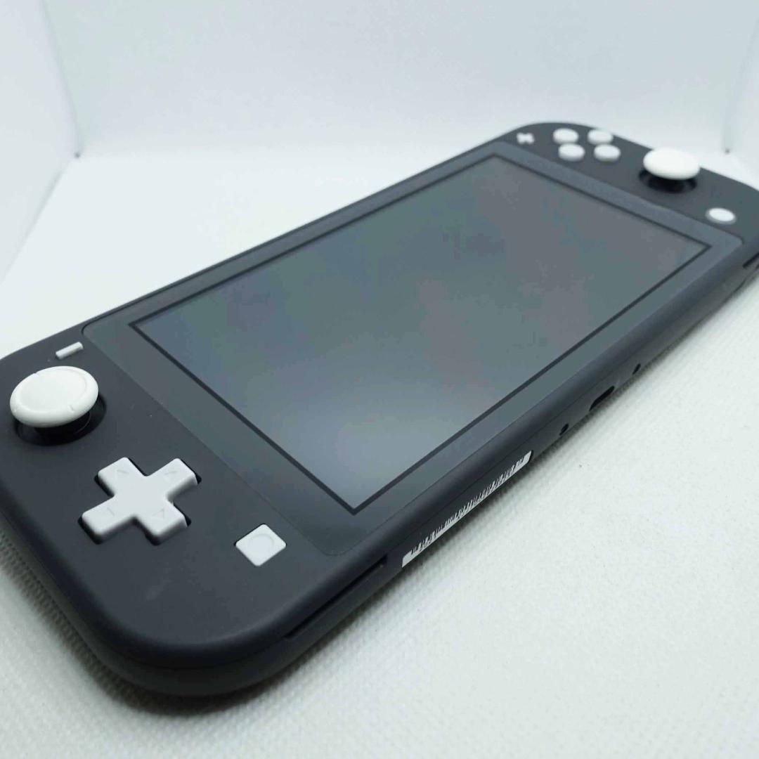 【スティック交換メンテ済】Nintendo switch lite グレー＋AC