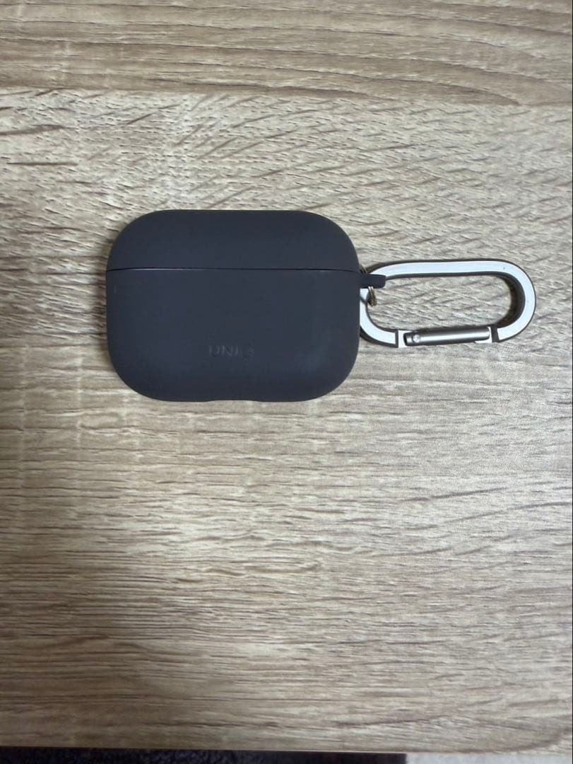 【片耳】AirPods Pro 2（lightning版）付属品有