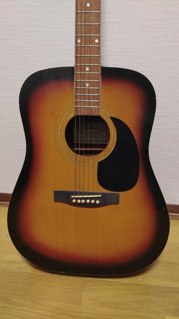 ギター Pro Martin W-180