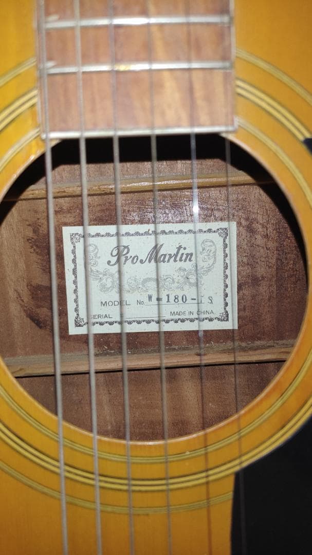 ギター Pro Martin W-180