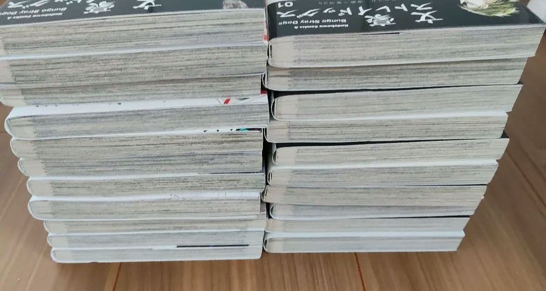 文豪ストレイドッグス 1〜21巻　小説3冊