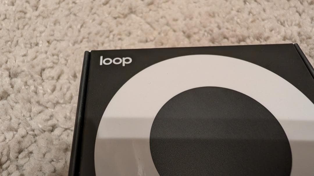 【新品未開封品】loop Switch 2 シルバー 耳栓 earplugs