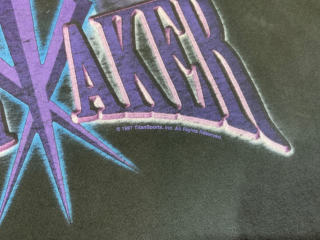 SOF TEE 90s USA製 WWF UNDERTAKER Tシャツ XL