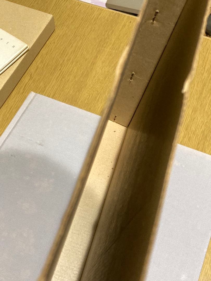 【中古】エゴン・シーレ画集 1890-1918 初版