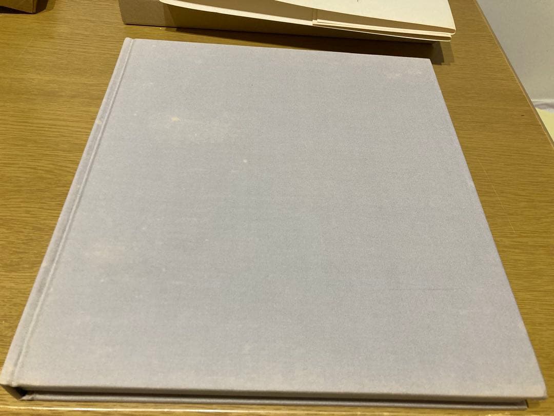 【中古】エゴン・シーレ画集 1890-1918 初版