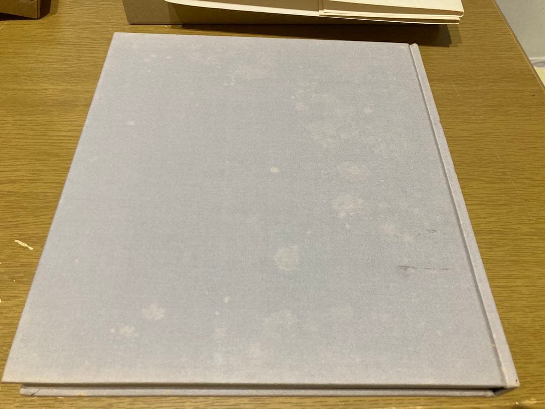 【中古】エゴン・シーレ画集 1890-1918 初版