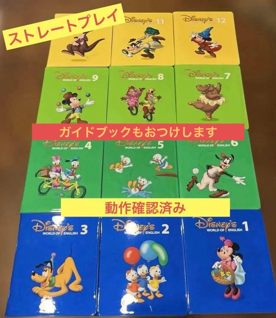 DWE ストレートプレイ DVD 2012年 美品