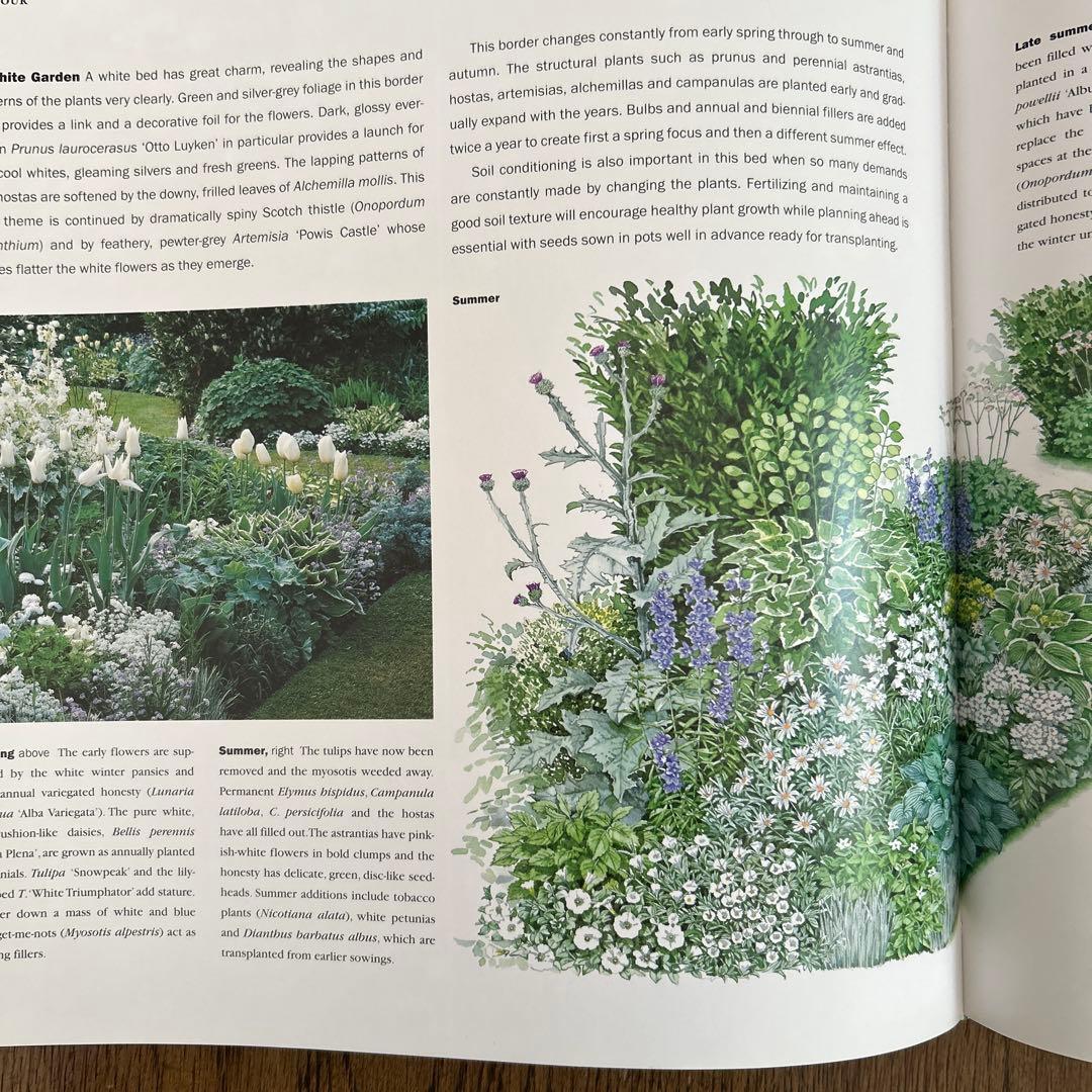 洋書　Planting Companions