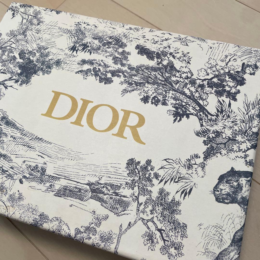 CHRISTIAN DIOR ストール