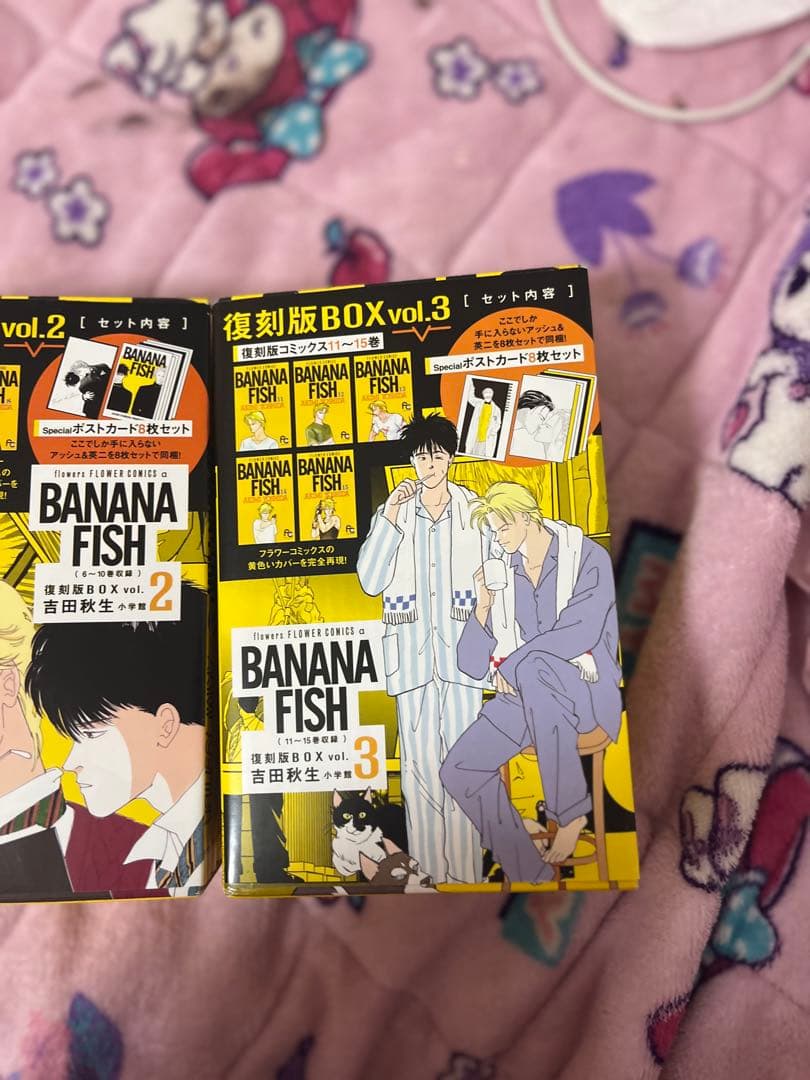 BANANAFISH 箱付き ポストカード付き 全巻セット