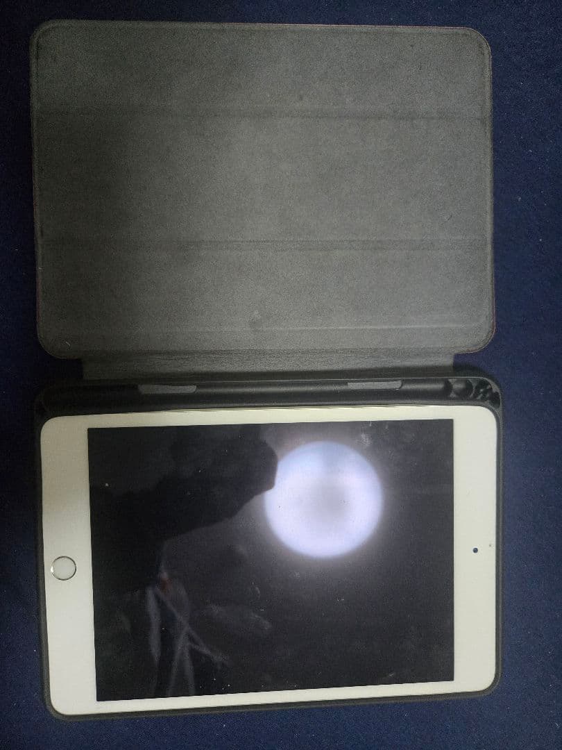 【ケースと箱付き】Apple iPad mini (第5世代) 64GB