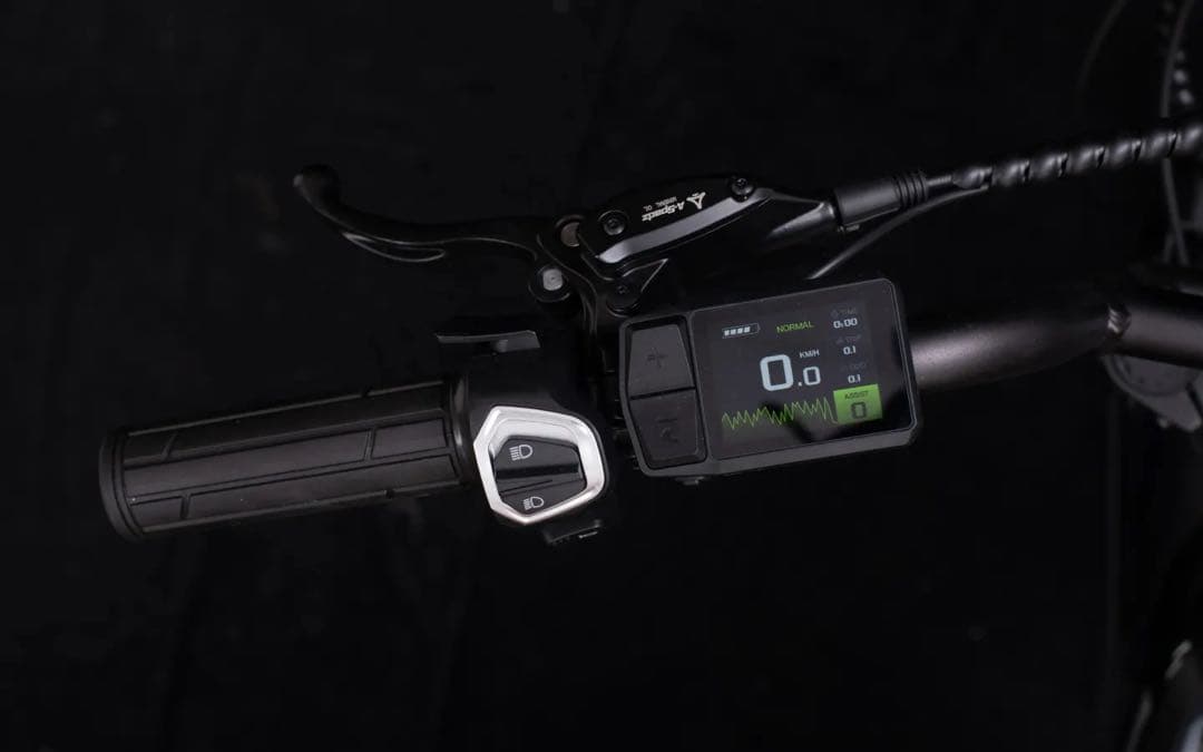 【本日限定最安価格】MOVE 電動アシスト自転車 CAVET II