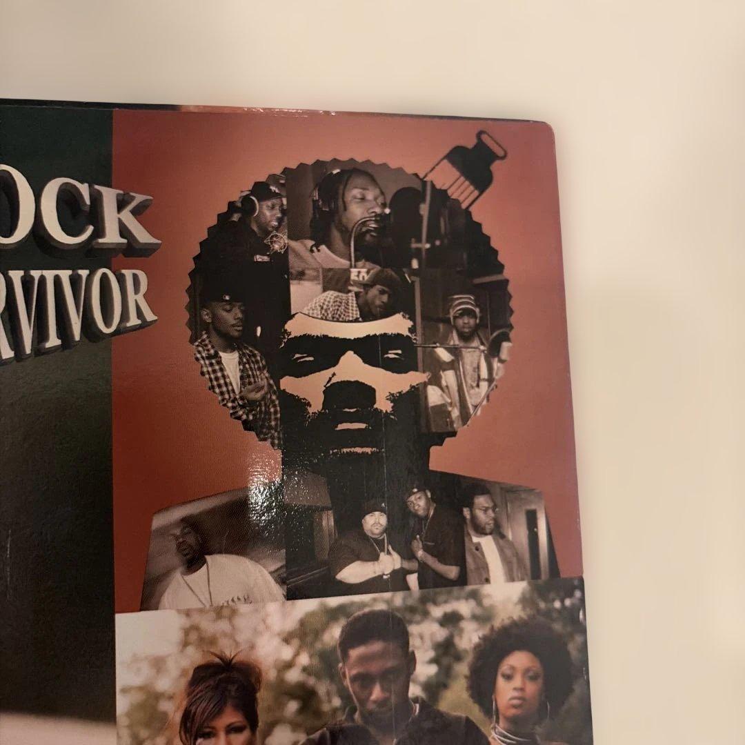 Pete Rock Soul Survivor レコード