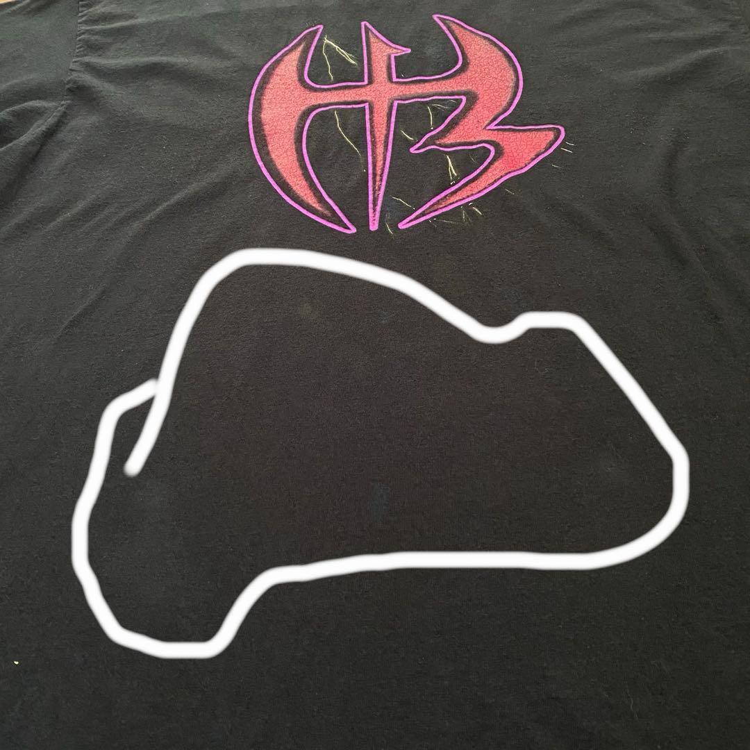 WWE ハーディーボーイズ Team Xtreme Tシャツ　2XL