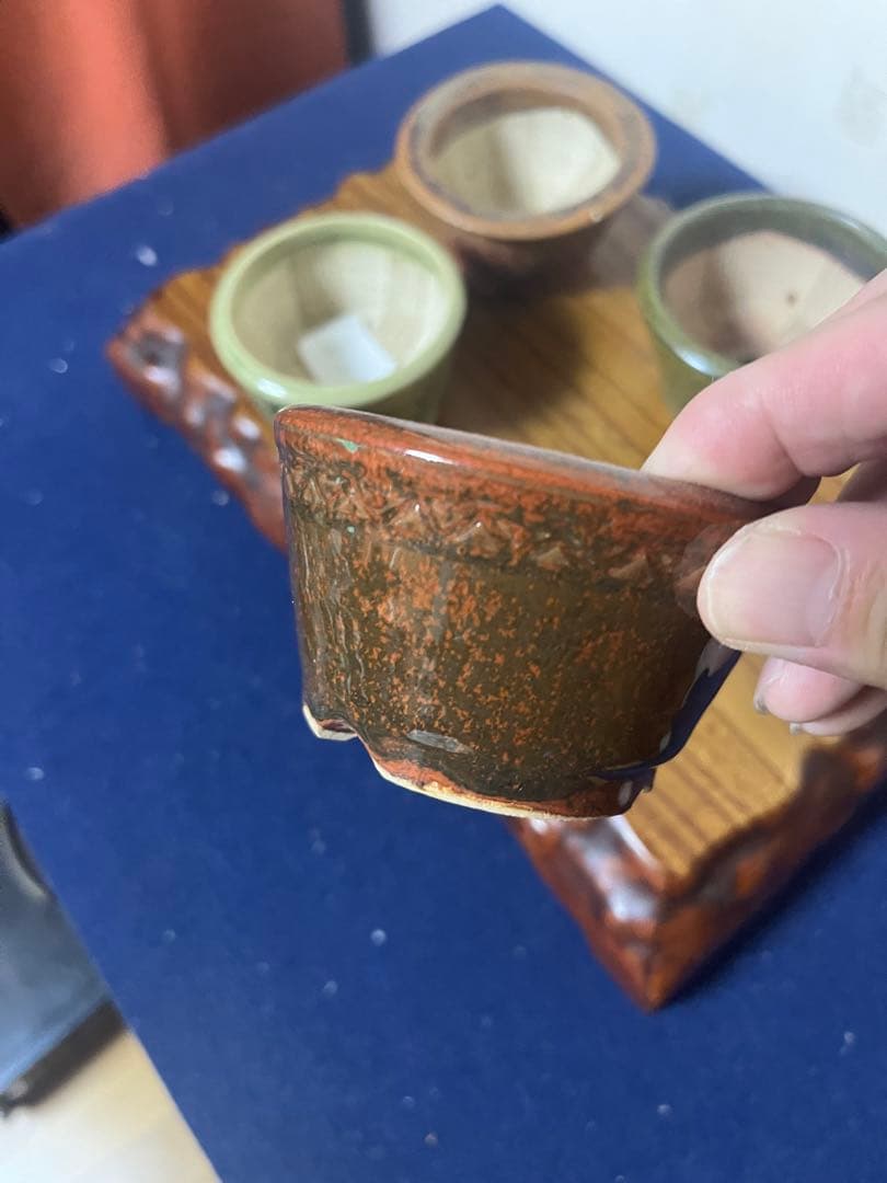 389 盆栽　盆栽鉢　植木鉢　和鉢　左楽　4鉢