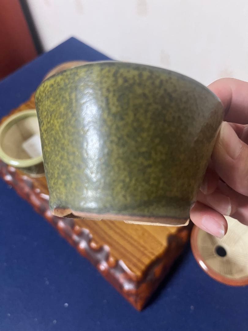 389 盆栽　盆栽鉢　植木鉢　和鉢　左楽　4鉢