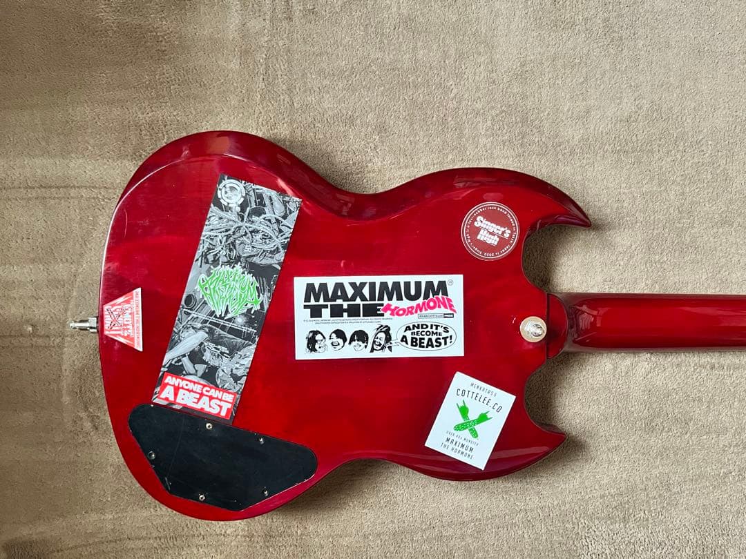 Epiphone SG PROレフティ ジャンク（マキシマム ザ ホルモン仕様）