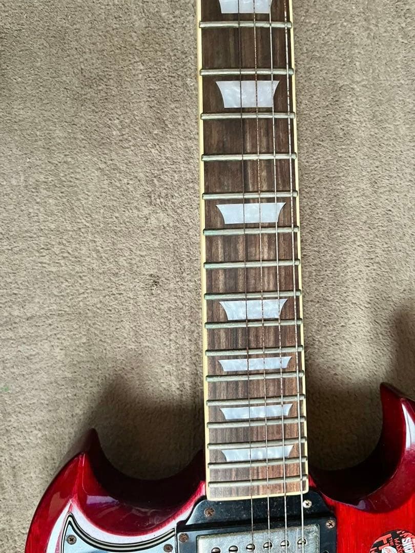 Epiphone SG PROレフティ ジャンク（マキシマム ザ ホルモン仕様）