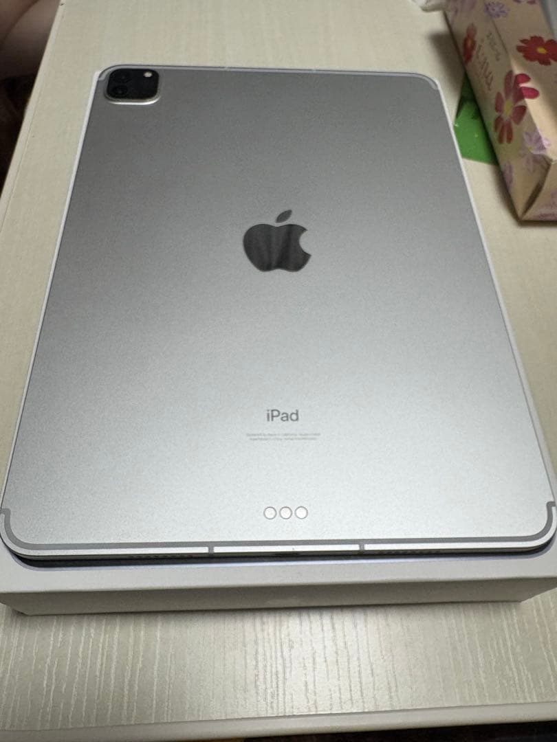 iPadpro11インチ第3世代256GB