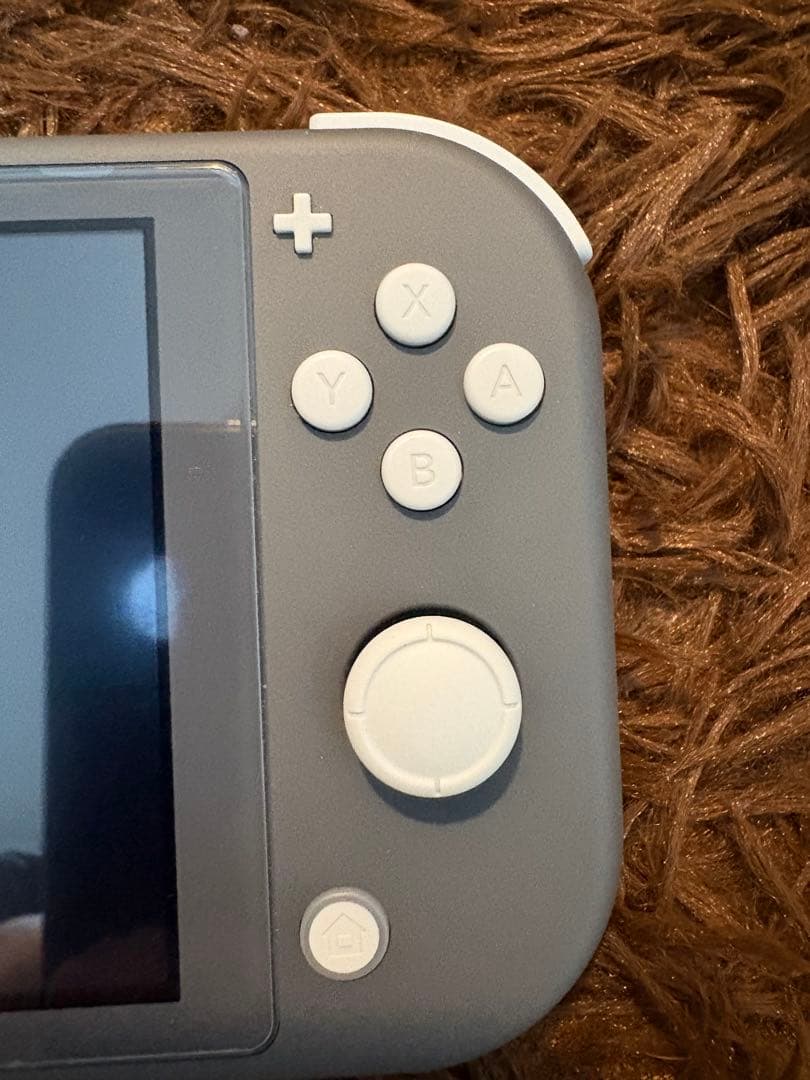 Nintendo Switch Lite グレー 本体 充電器付き　カセット5個