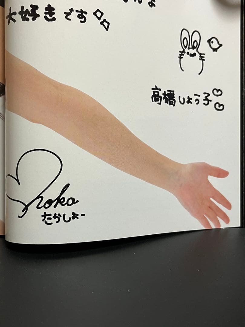 【新品】パーフェクトヌードポーズ 高橋しょう子 PerfectNude Pose
