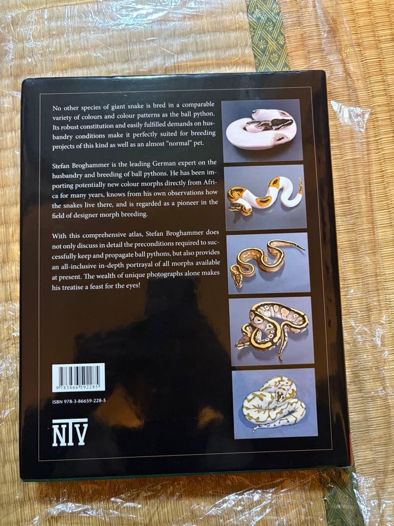 PYTHON REGIUS洋書ボールパイソン