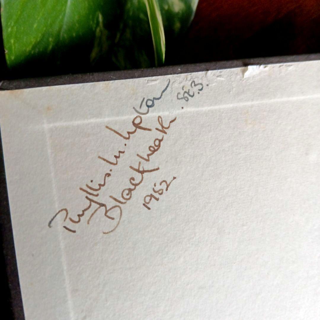 洋書古書1952年　ペンギン文庫　カリグラフィー美しい筆記体　ヴィンテージ　希少
