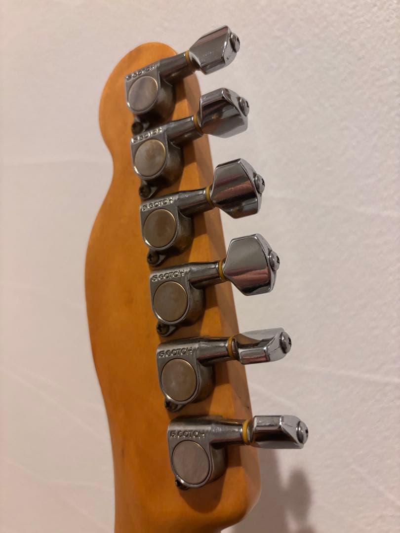 Fender Japan Eシリアル フジゲン製　改造多数 ※最終値下げ
