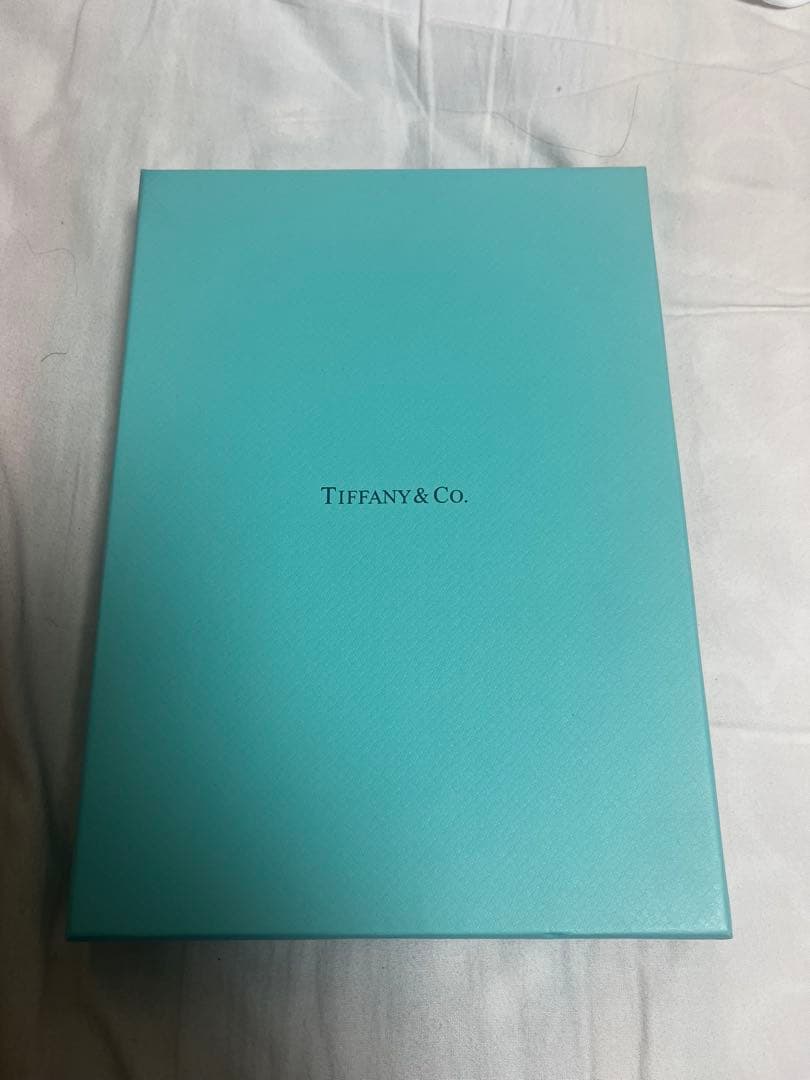 Tiffanyハードウェア グラジュエイテッドリンクネックレスSilver925