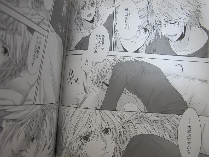 FF■64P■希わくはやさしい嘘を/ホプライ■CassiS/りおこ