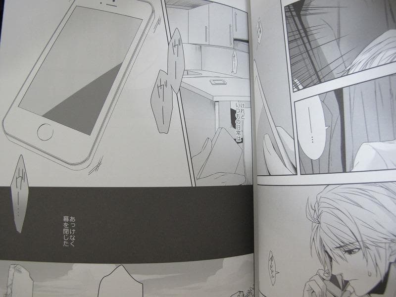 FF■64P■希わくはやさしい嘘を/ホプライ■CassiS/りおこ