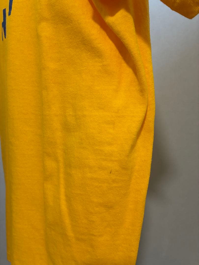 r*2様 70s ヴィンテージ ハーゲンダッツTシャツ ラッセル 金タグ L表記