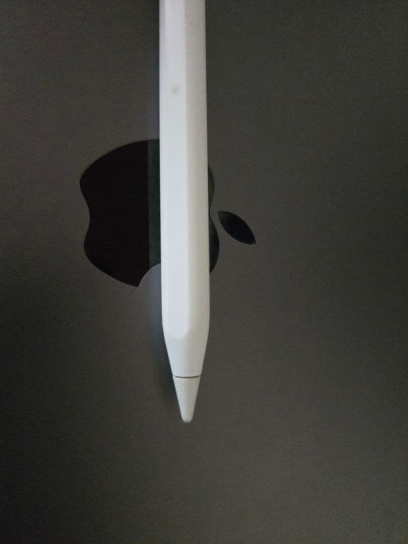 ジャンク品　iPad Pro 11 第2世代 128GB　バッテリー容量88％