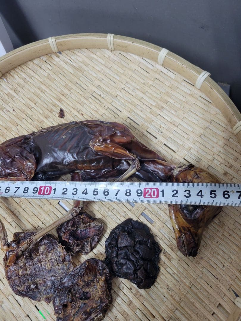 【特別商品限定】鹿　腹子　丸ごと1頭ジャーキー　激レア　胎盤付き　1頭分