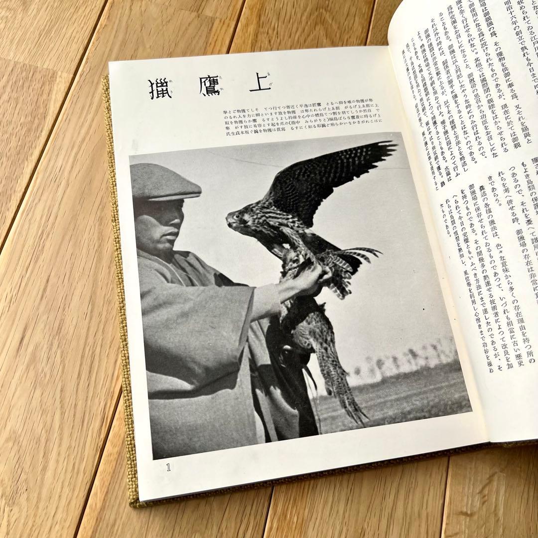 写真記録　日本鳥類狩猟法　堀内讃位　野鳥　限定版