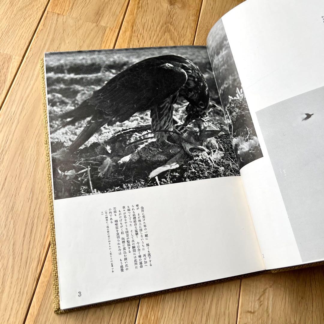 写真記録　日本鳥類狩猟法　堀内讃位　野鳥　限定版