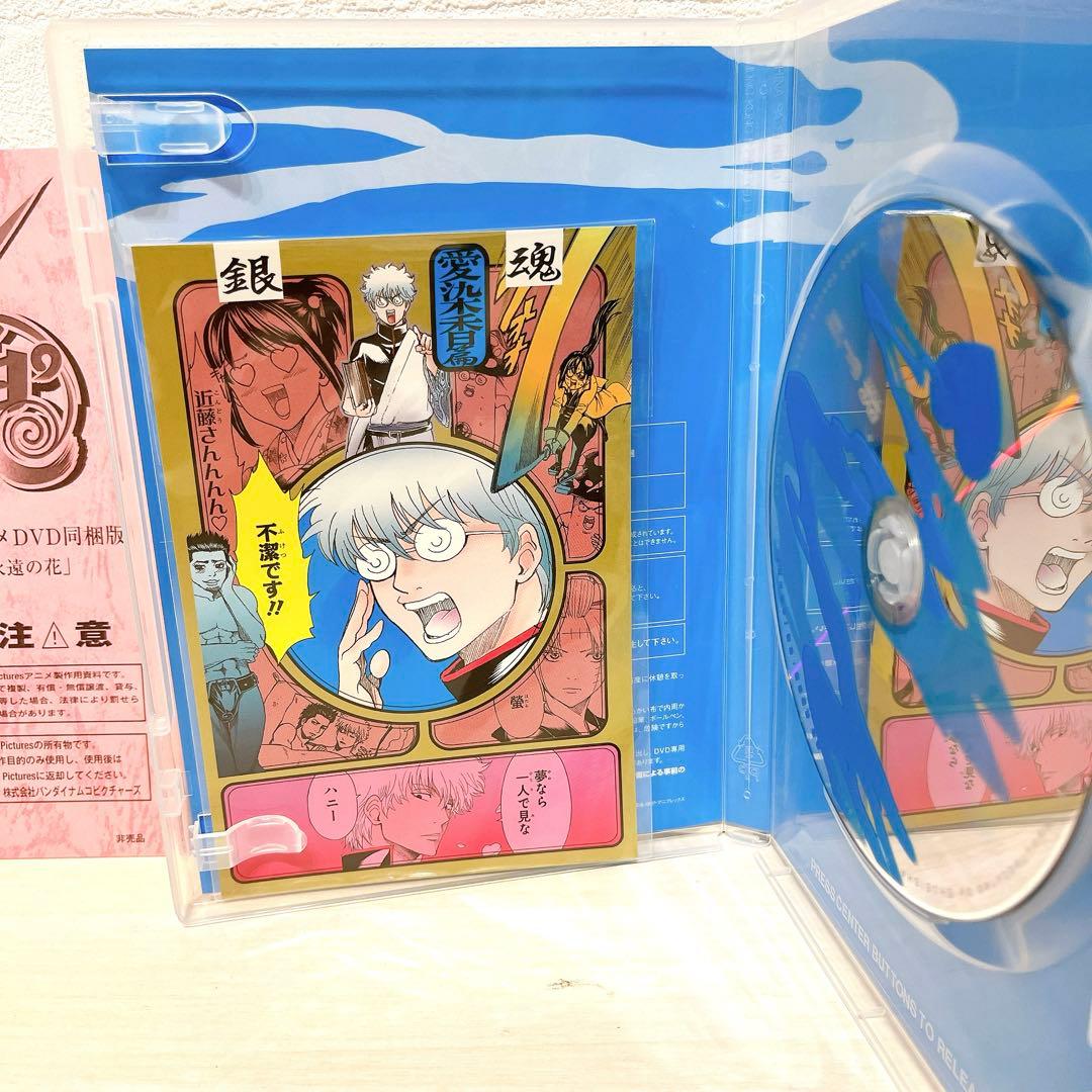 銀魂 65巻 66巻 アニメ DVD同梱版 初版