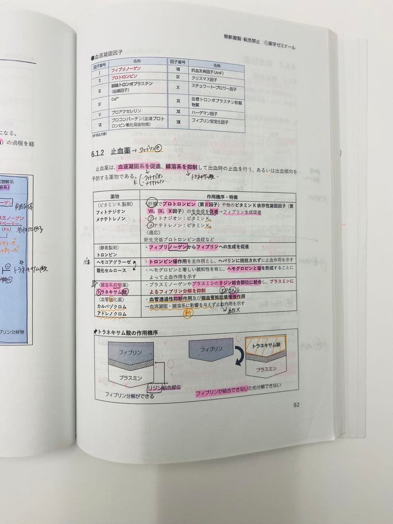 薬学ゼミナール 薬剤師国家試験 100日インプットマスター