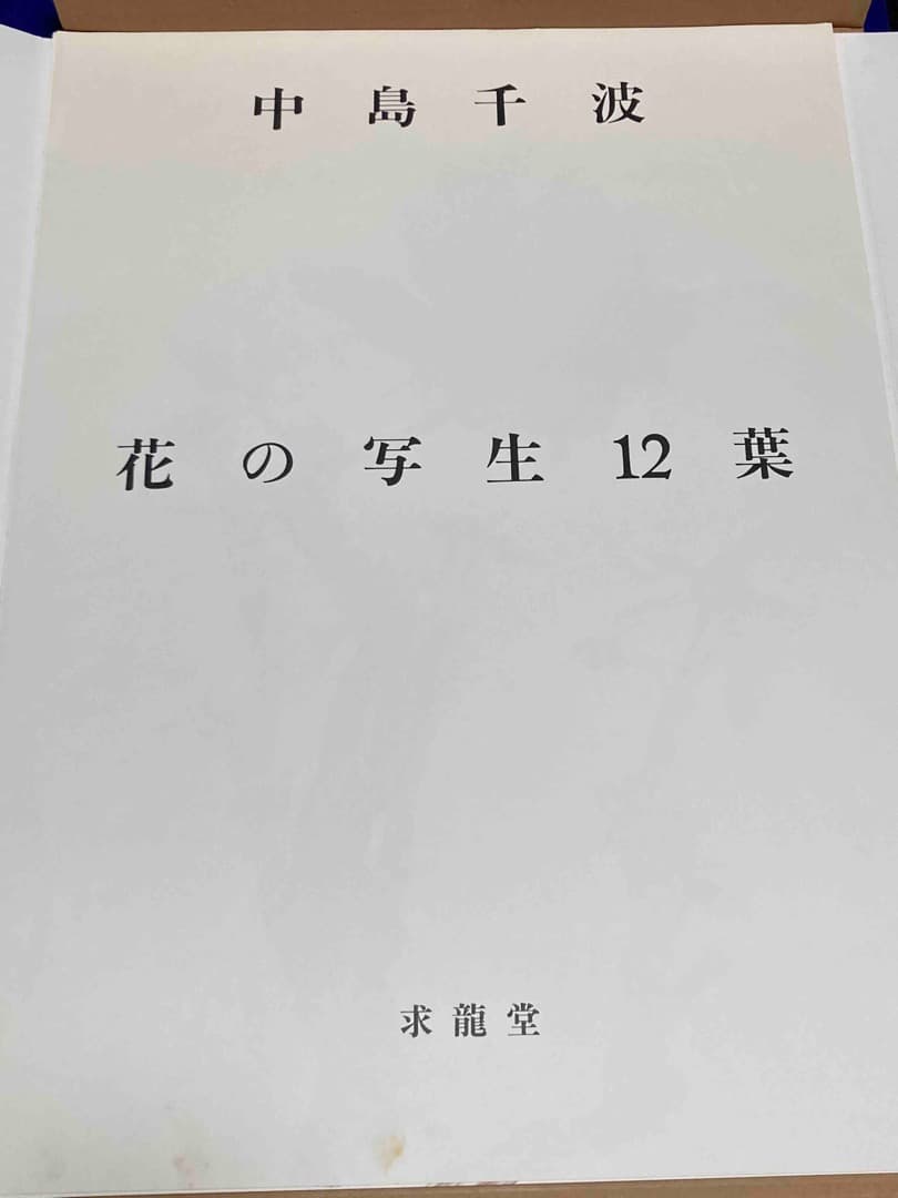 中島千波 花の写生 12葉◆中島千波著、求龍堂/Y090