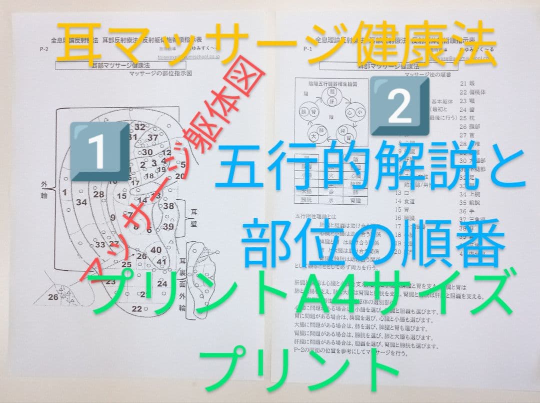 Bc耳臨床54例集+臓器躯体ラミネート加工+解説プリント13set