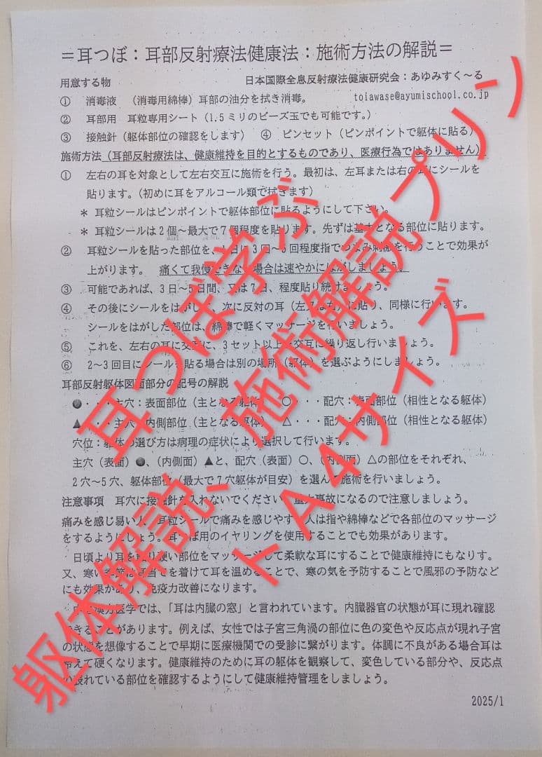 Bc耳臨床54例集+臓器躯体ラミネート加工+解説プリント13set