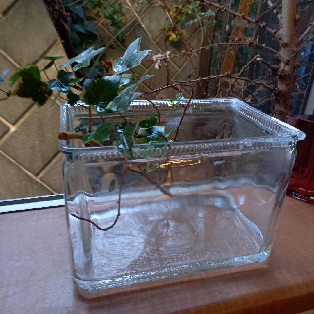 アンティーク　ガラスの水槽