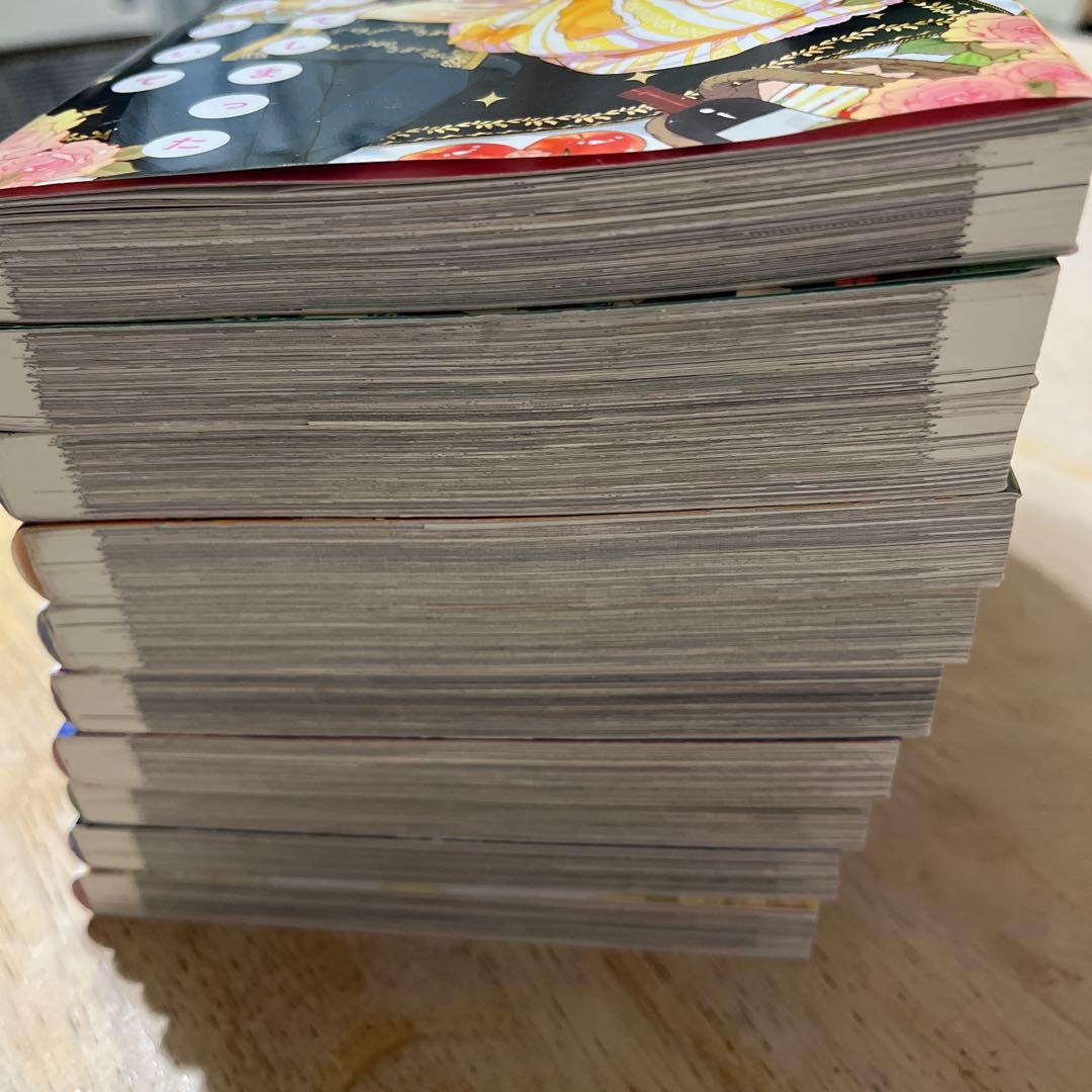 ある日、お姫様になってしまった件について 10冊セット
