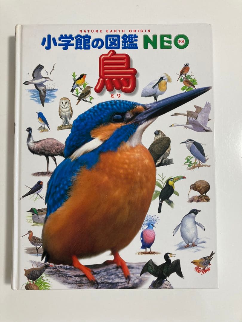 《14冊セット》小学館の図鑑NEO 小学館の子ども図鑑プレ図鑑NEO 調べ学習