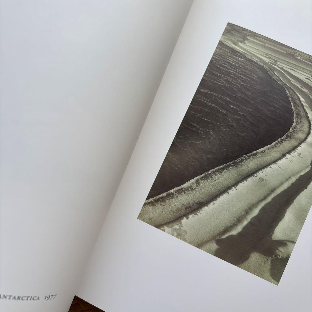 SHEILA METZNER 写真集 COLOR