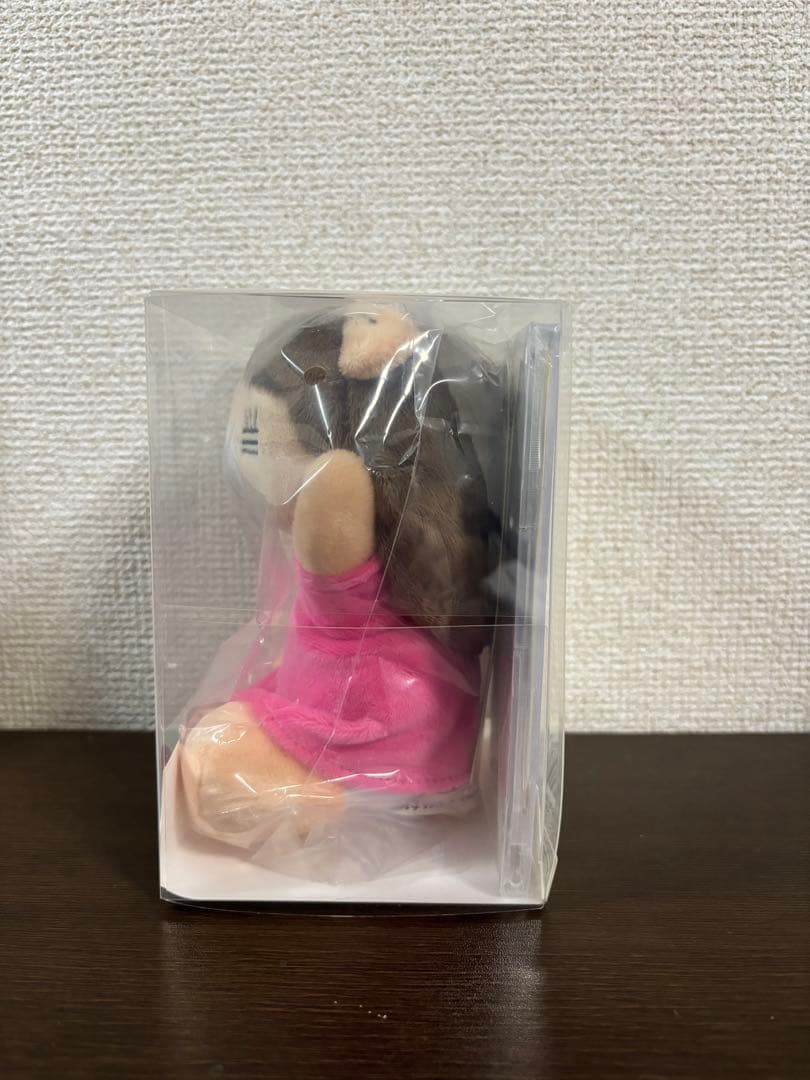 【未開封】コレサワ　れ子ちゃん✖️Control Bear コラボぬいぐるみ
