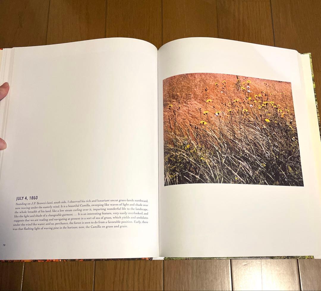 帯(汚れあり)付き eliot porter エリオット・ポーター　写真集