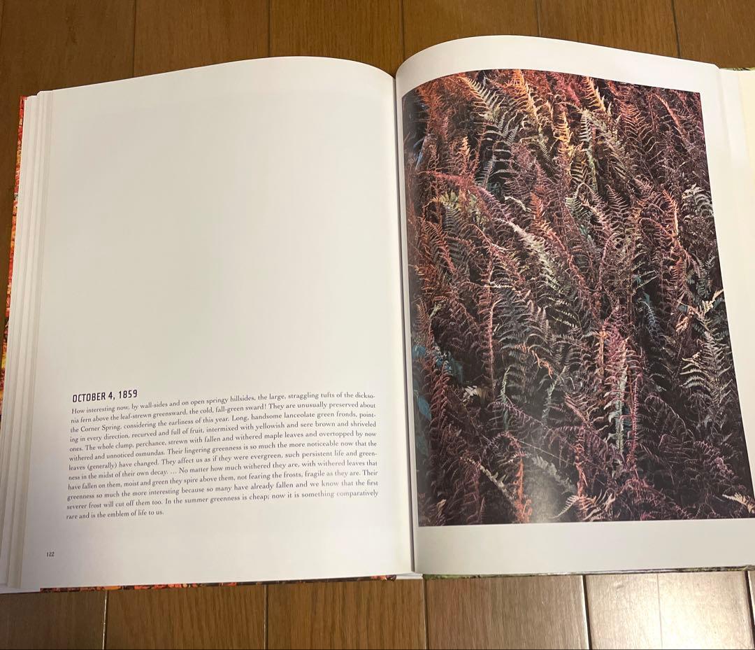 帯(汚れあり)付き eliot porter エリオット・ポーター　写真集